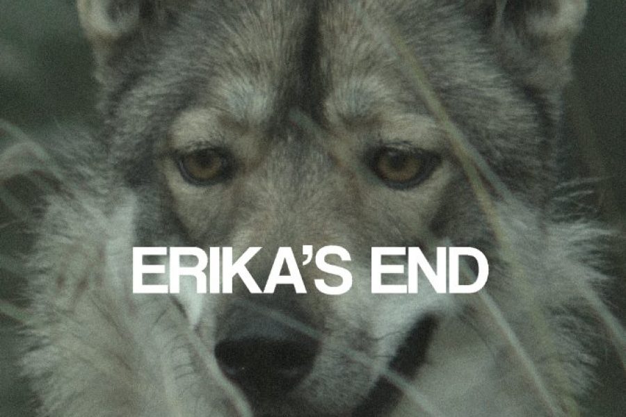 Erika’s End